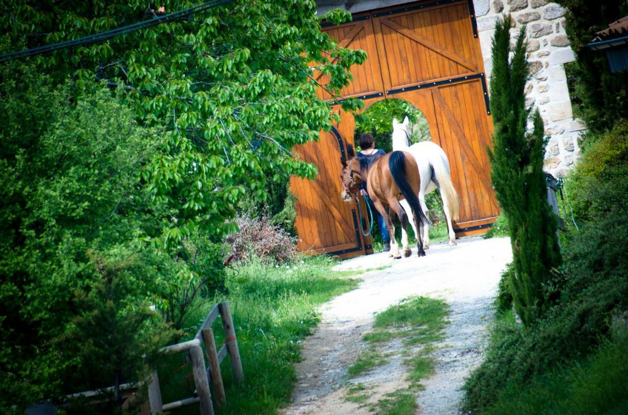 Le Petit Rias Gite Soleil Saint Maurice en Chalencon Exterior photo